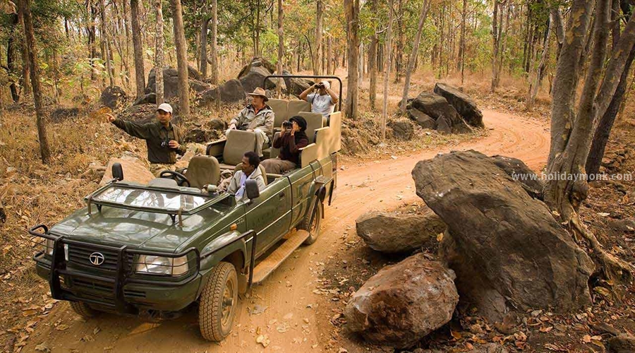 This photo indicates nagarhole national park,Karnataka